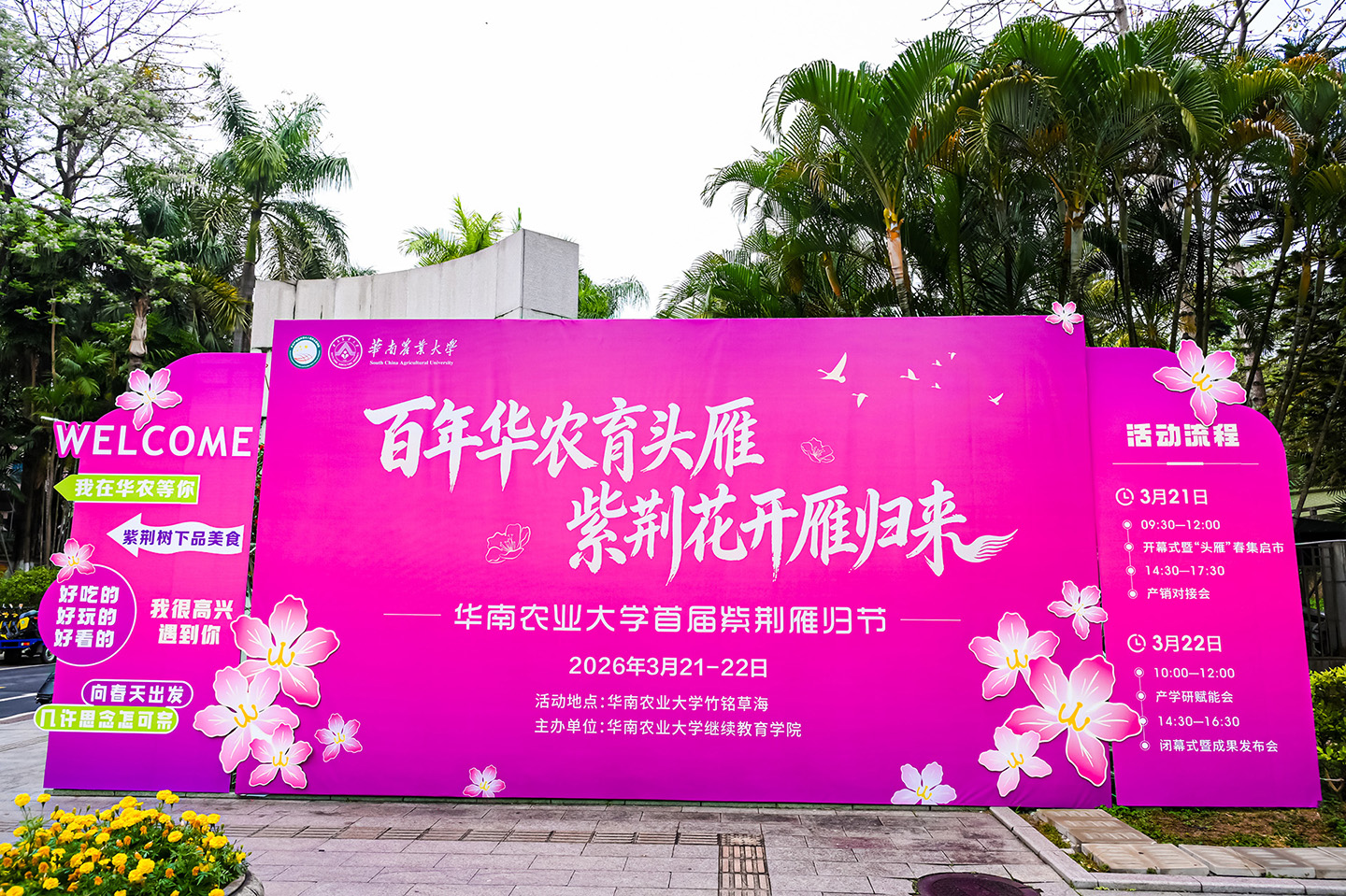 从实验室到消费端：华农紫荆雁归节见证礼至心化橘红全产业链升级